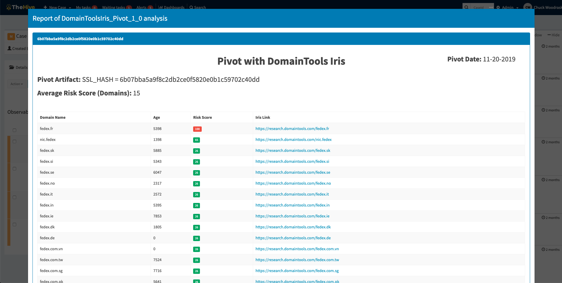 DomainToolsIris_Pivot long report sample